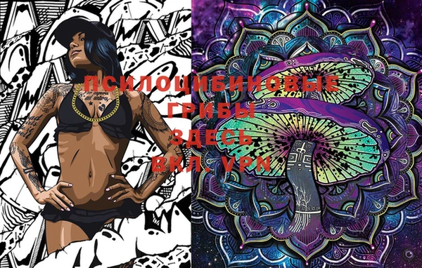 стафф Апатиты