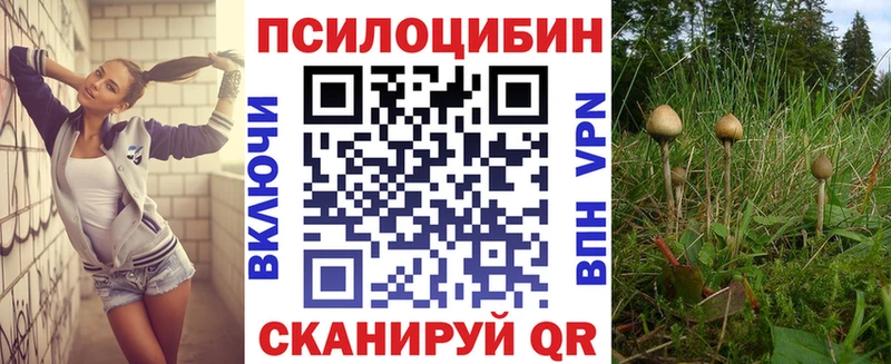 Галлюциногенные грибы Psilocybe  Усолье 